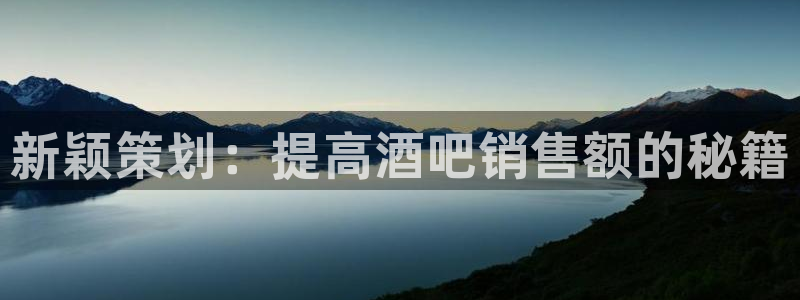 必赢线上网址查询