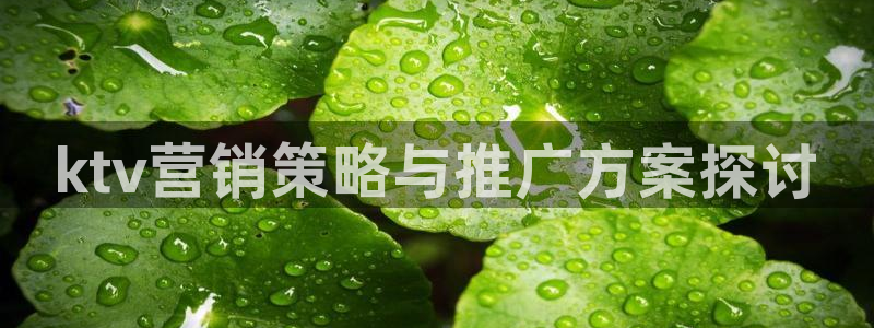 必赢手机app下载安装