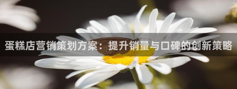 必赢官网下载安装app