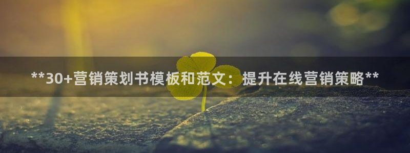 必赢官网网址多少号