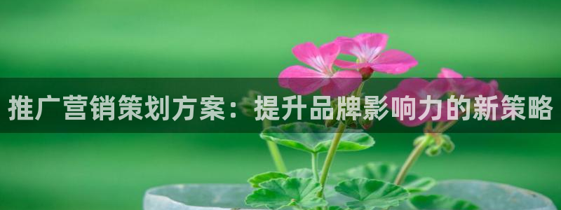 必赢这个软件怎么样知乎