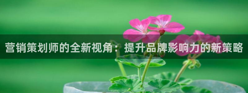 必赢网址谁知道是真的