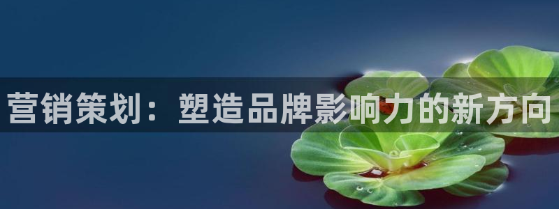 必赢官网网站入口下载