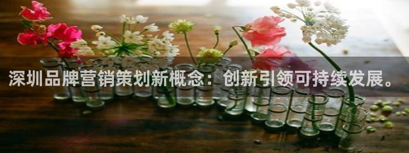 必赢app官方网站