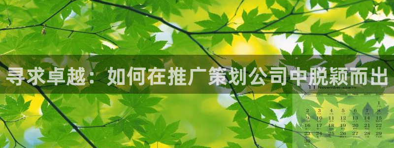 必赢app能挣钱吗