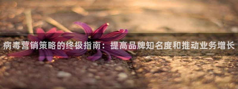 必赢手机app下载 最新版