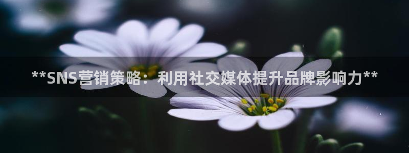 必赢最新消息