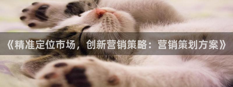 必赢公司