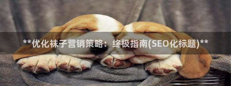 必赢手机app下载