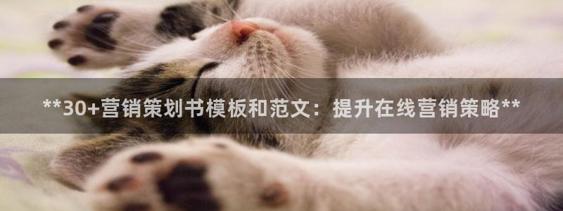 必赢官网