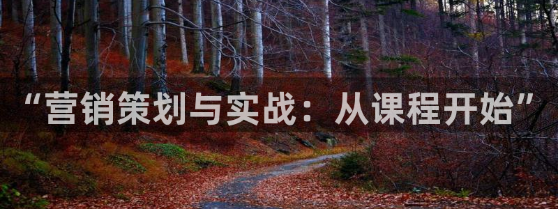 必赢516net怎么进