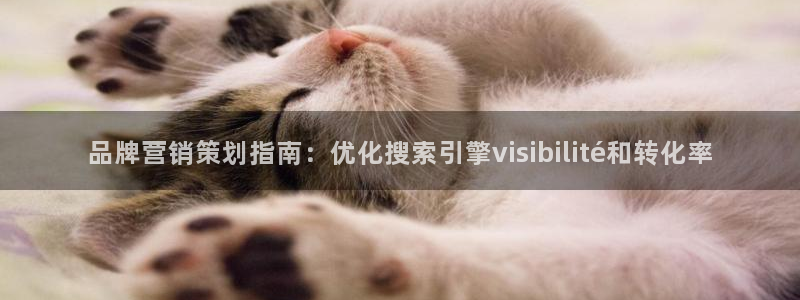 必赢官网app下载安装手机版最新版