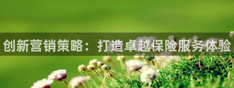 必赢网怎么打不开了呀