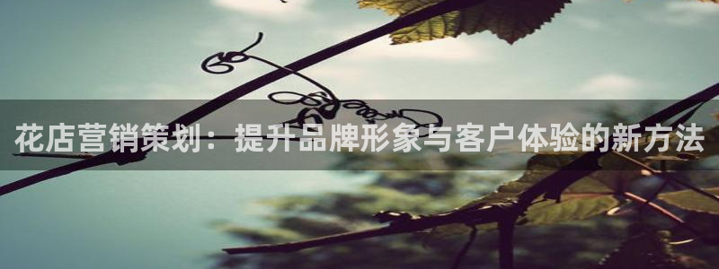 必赢亚赢网站官网下载手机版