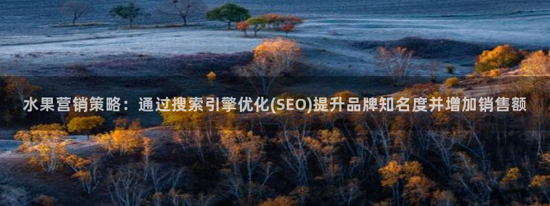 必赢官网网站首页入口