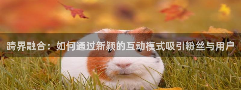 必赢亚赢网站官网下载