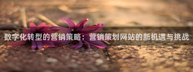 必赢72882网址