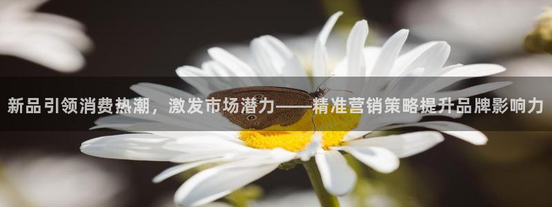必赢网址官网