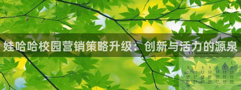 必赢国际网站合法吗