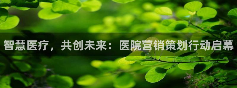 必赢网站是哪一个