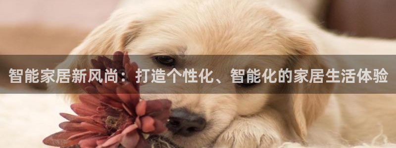必赢手机app下载官网最新版