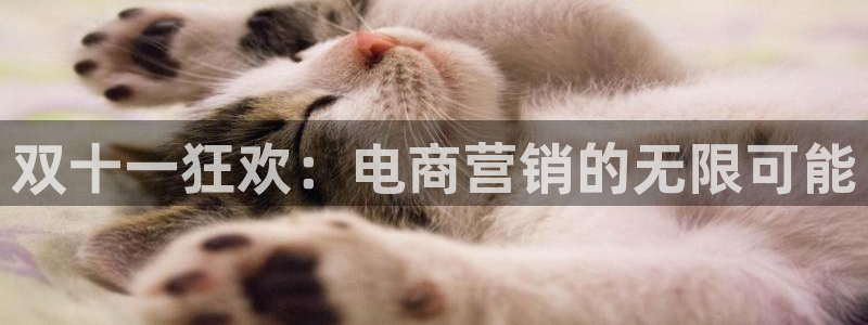 必赢下载安卓版下载
