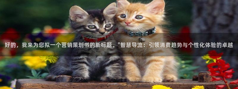 必赢宝app软件下载