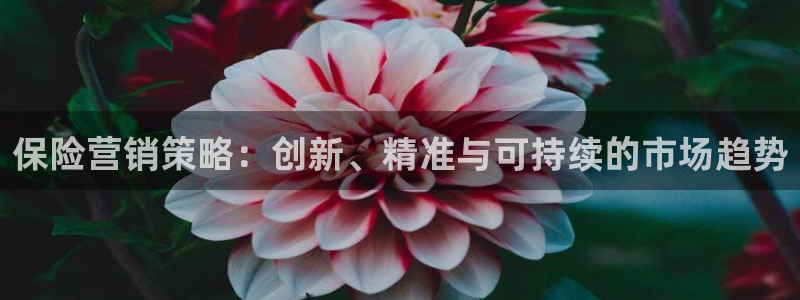 必赢网址官网：保险营销策略：创