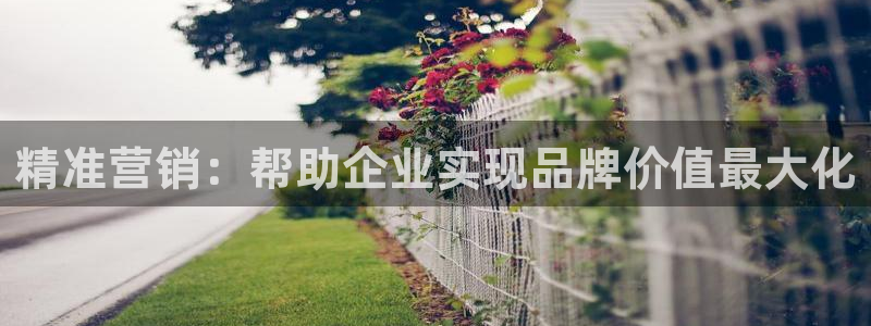必赢网址谁知道：精准营销：帮助