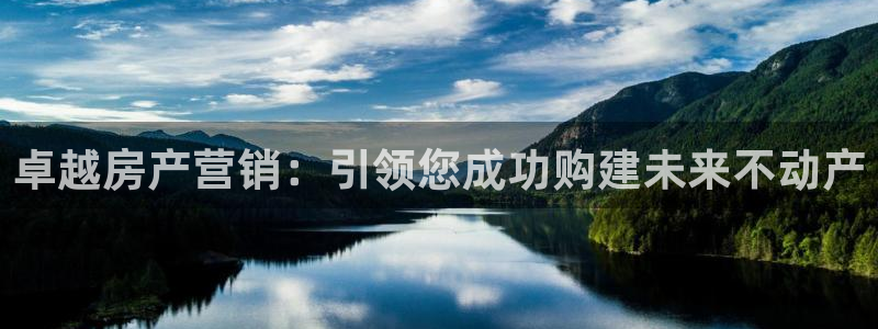 必赢平台官方电话：卓越房产营销