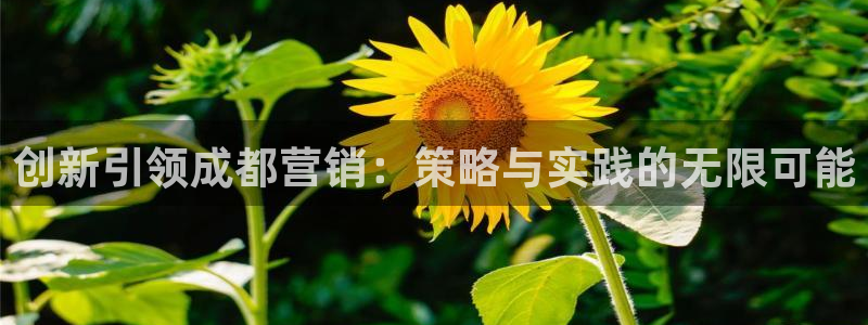 必赢网址手机主页打不开：创新引