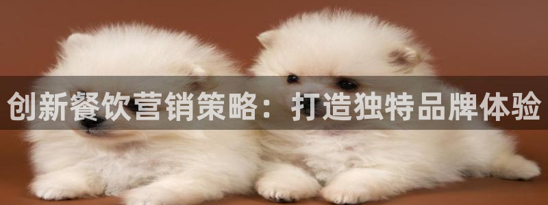 必赢88