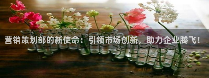 必赢官网网站首页入口：营销策划
