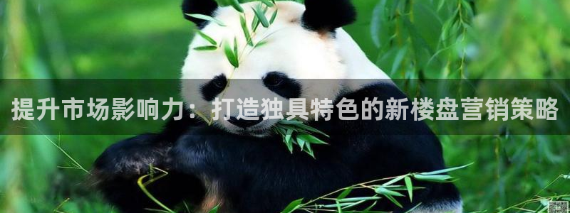必赢棋脾9655app下载：提