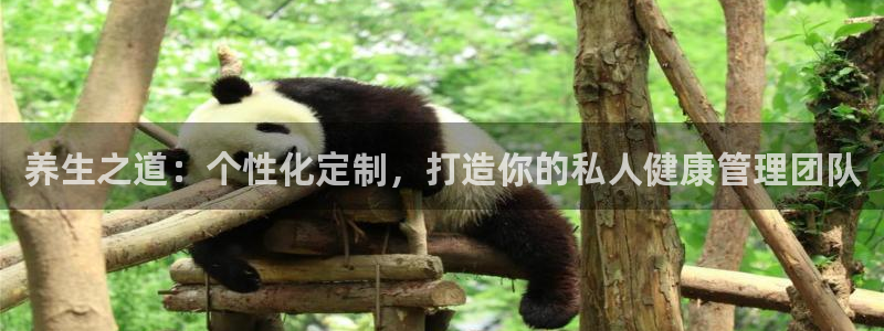 必赢这个软件怎么样啊：养生之道
