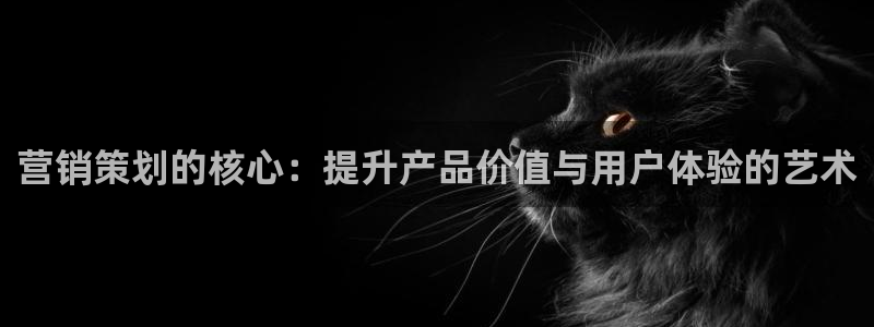 必赢3003平台