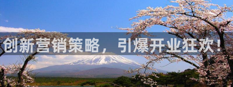 必赢网站平台登录