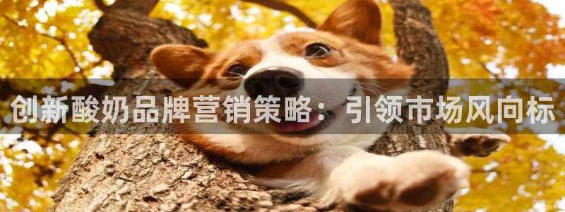 必赢集团网站首页