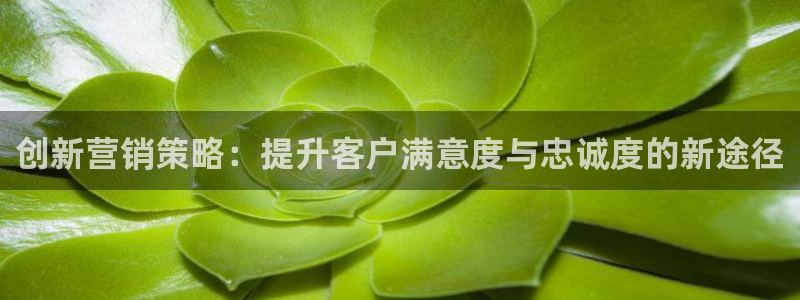 必赢网怎么打不开了