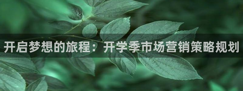 必赢官网网址多少号登录