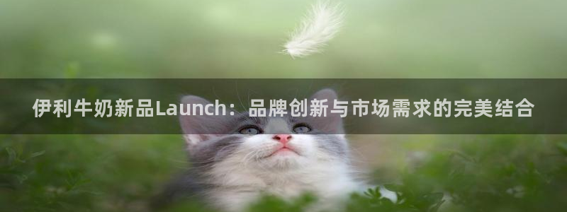 必赢官网网址多少号登录入口