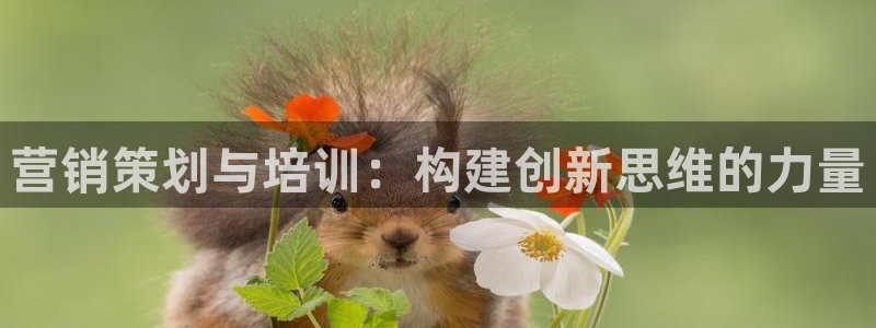 必赢官网网址多少号登录不了