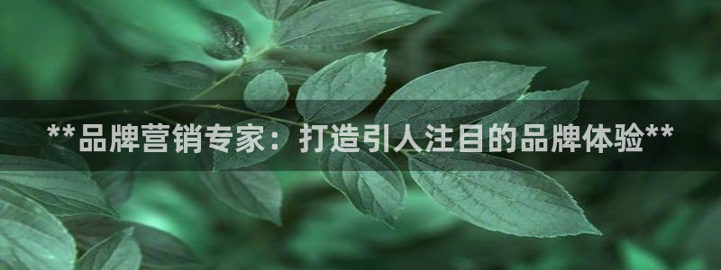 必赢国际官网登录