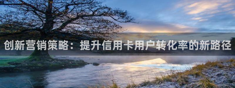 必赢公司：创新营销策略：提升信