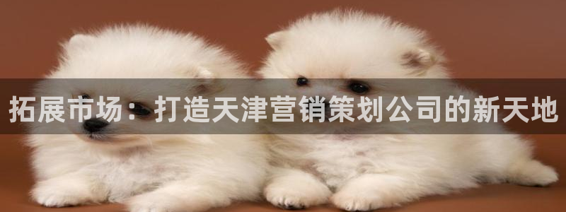 必赢抢红包网址：拓展市场：打造