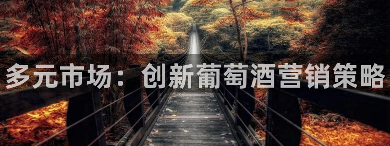 必赢网站打不开