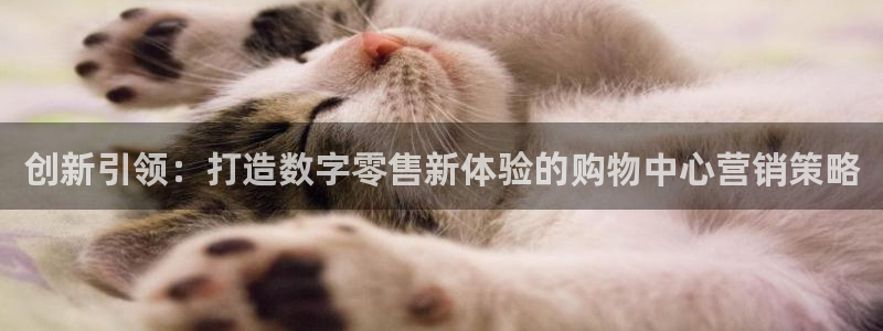 必赢官网app下载安装最新版苹