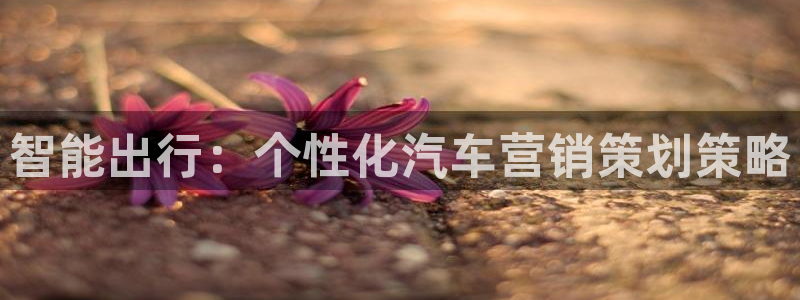 必赢565net官网网站