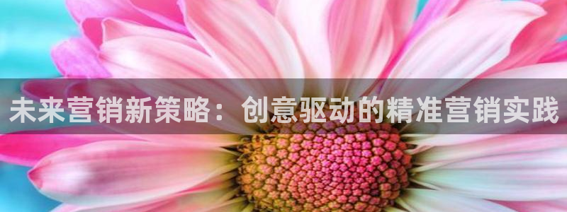 必赢官网下载