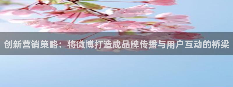 必赢平台怎么样